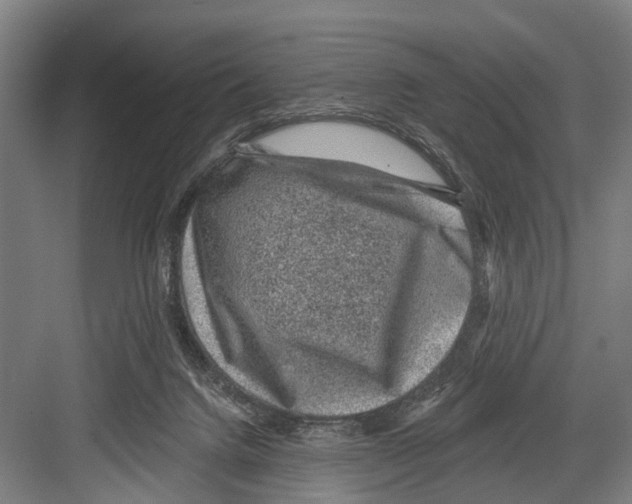 X0000081560072200702121407