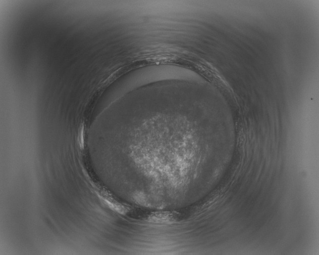 X0000081560076200702121407