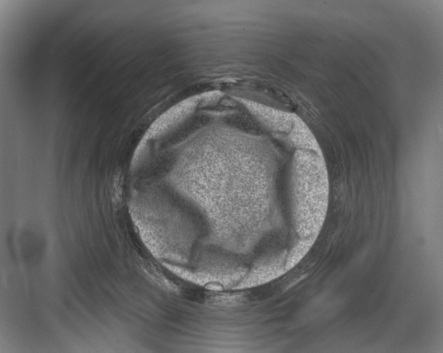 X0000081560081200702121407