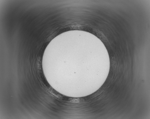 X0000081560083200702121407