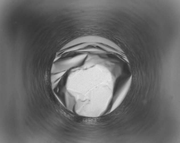X0000081560084200702121407