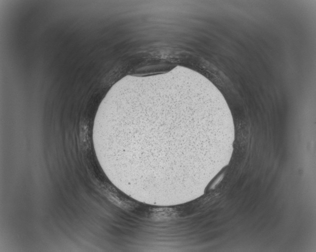 X0000081560087200702121407
