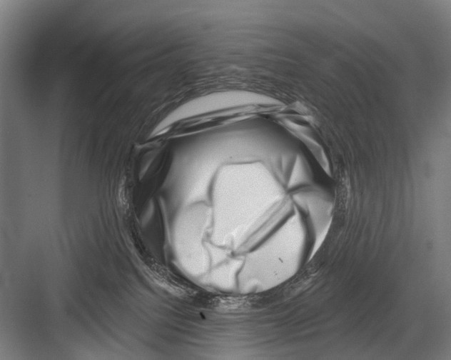 X0000081560088200702121407