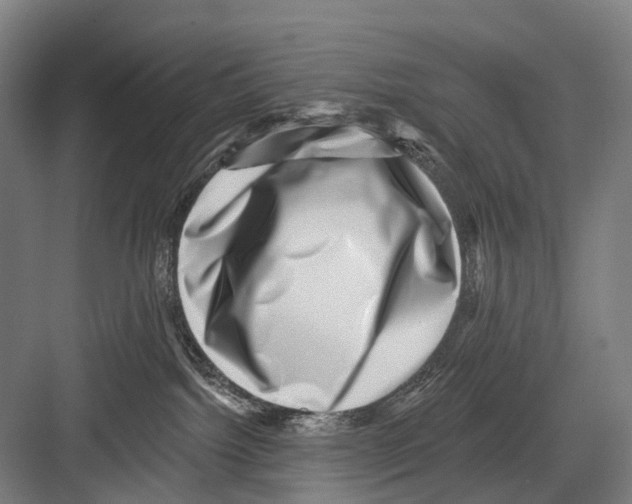X0000081560092200702121407