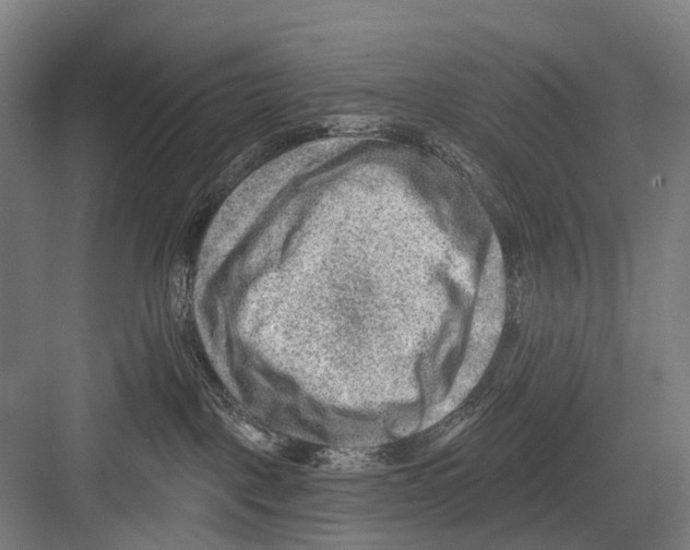 X0000081560093200702121407
