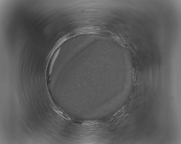 X0000081560099200702121406