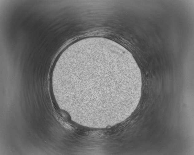 X0000081560100200702121406