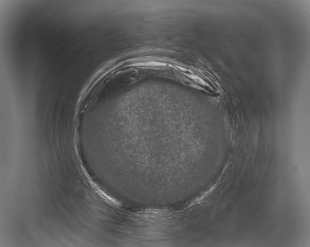 X0000081560101200702121406