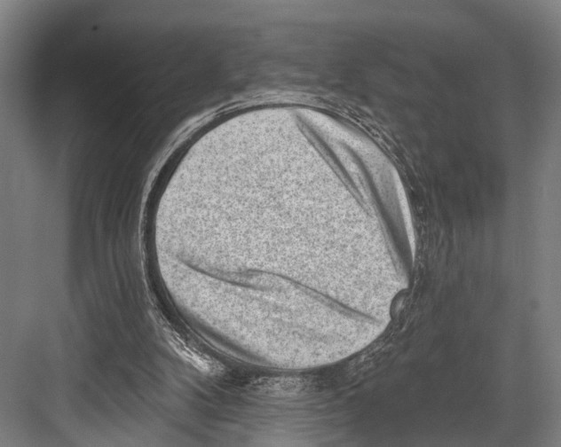 X0000081560104200702121406