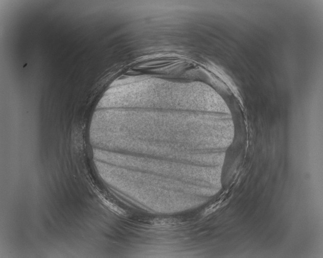 X0000081560105200702121406