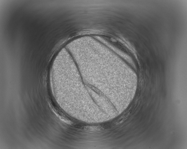 X0000081560107200702121406