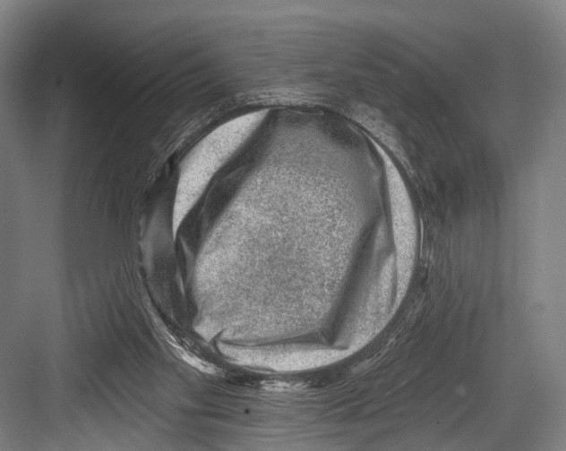 X0000081560109200702121406
