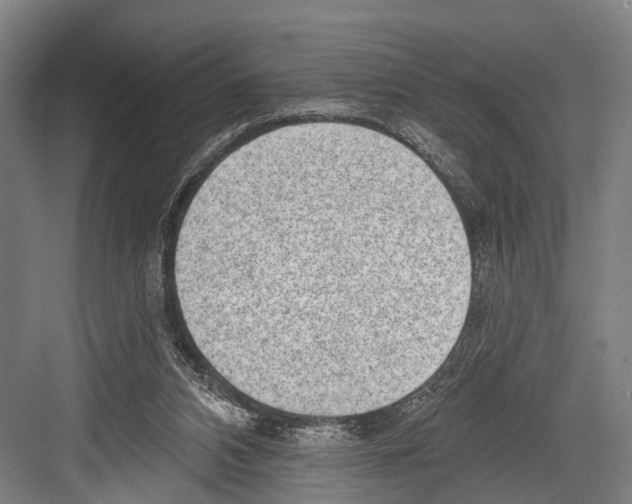 X0000081560112200702121406