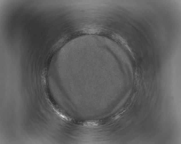 X0000081560114200702121406