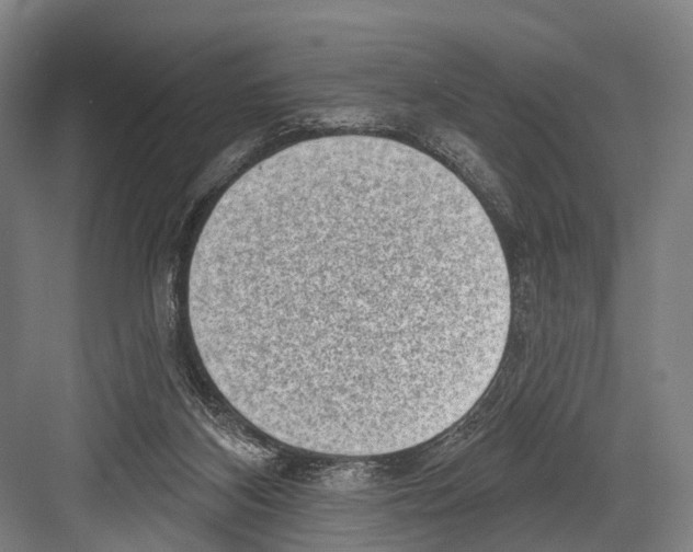 X0000081560116200702121406