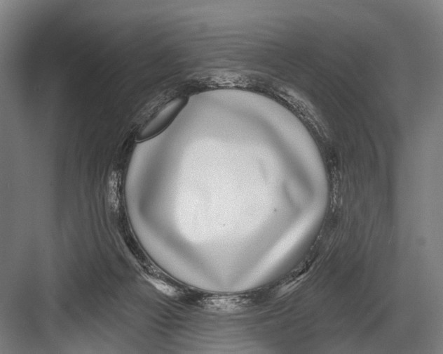 X0000081560121200702121406