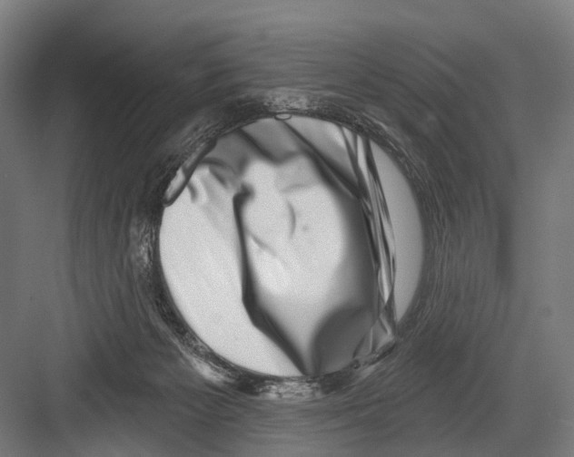 X0000081560125200702121406