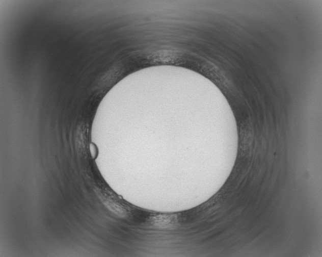 X0000081560126200702121406