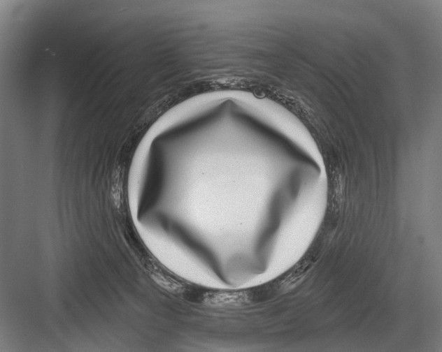X0000081560129200702121406