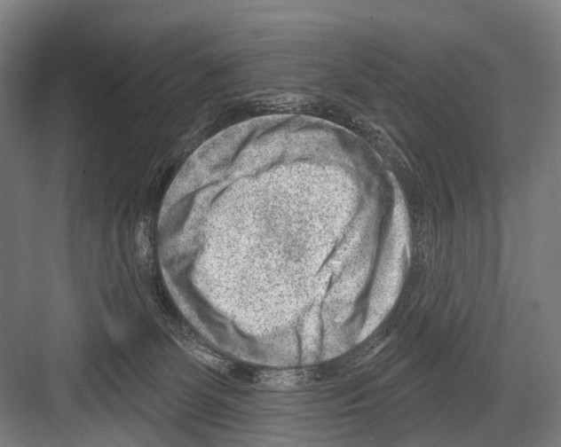 X0000081560131200702121406