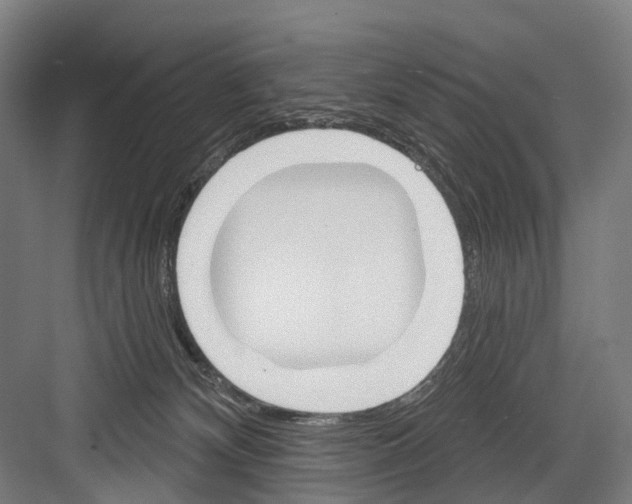 X0000081560132200702121406