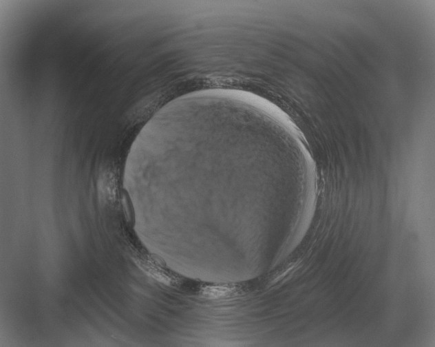 X0000081560139200702121405