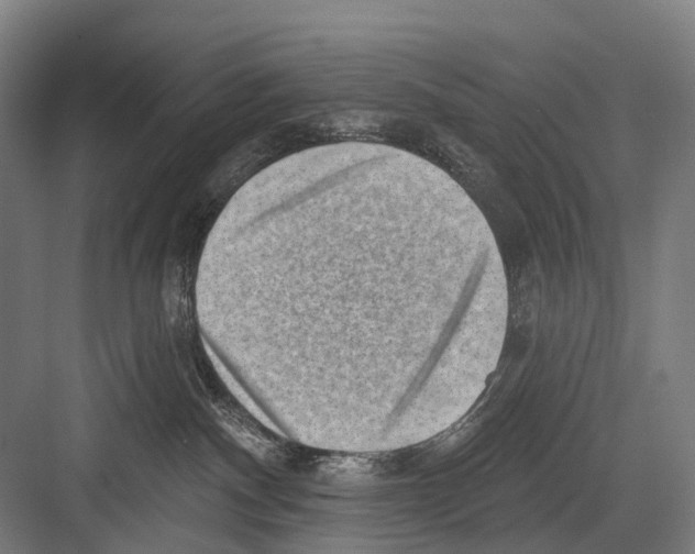 X0000081560140200702121405