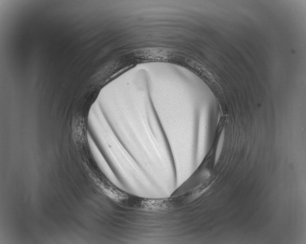 X0000081560141200702121405