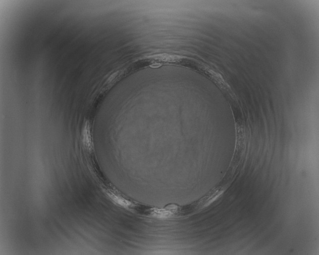 X0000081560143200702121405