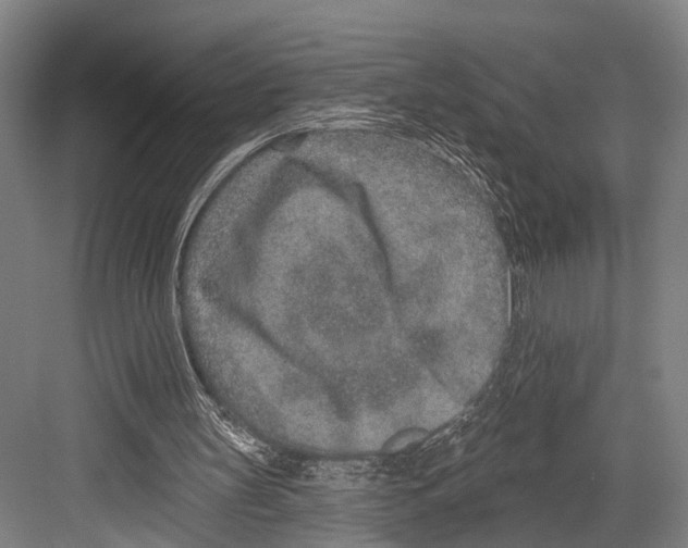 X0000081560147200702121405