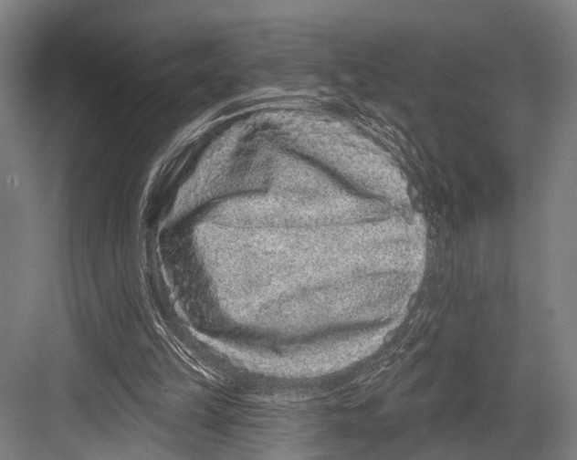 X0000081560149200702121405