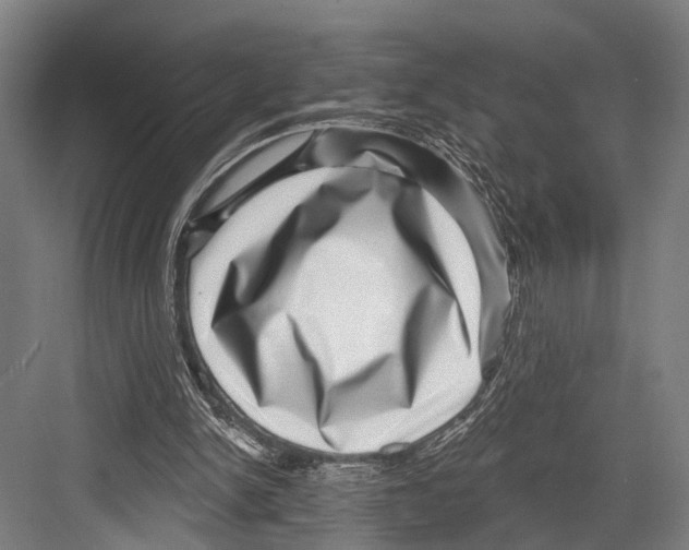 X0000081560150200702121405