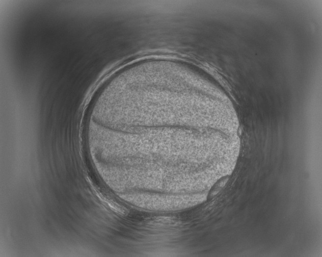 X0000081560151200702121405