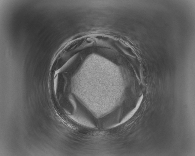 X0000081560152200702121405