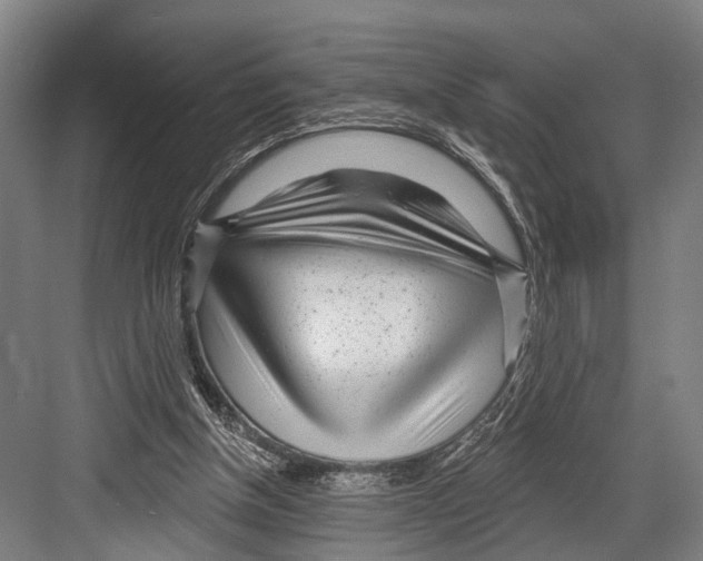 X0000081560154200702121405