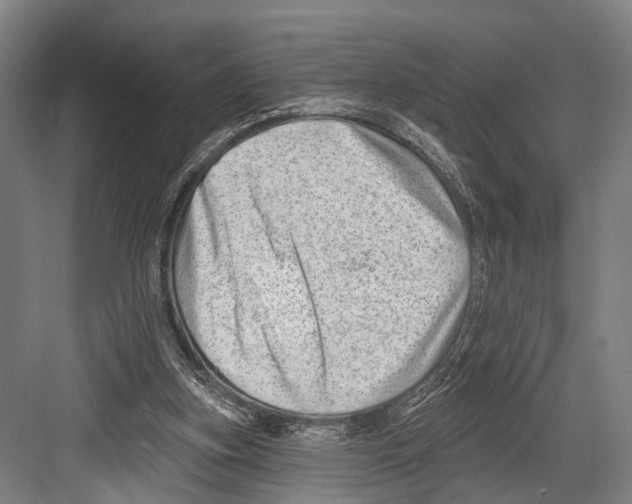 X0000081560155200702121405