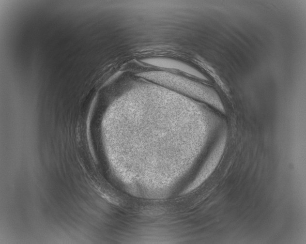 X0000081560161200702121405