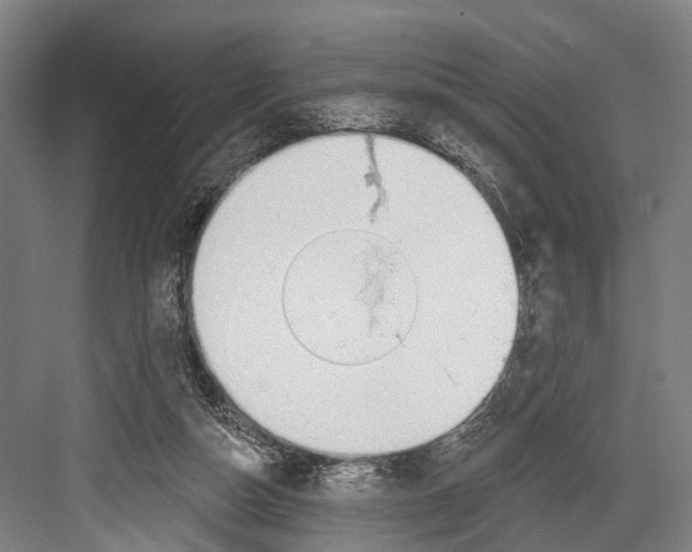 X0000081560162200702121405