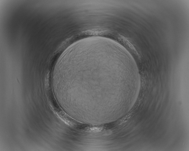 X0000081560163200702121405