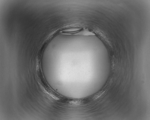 X0000081560164200702121405