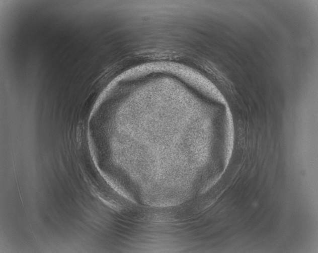 X0000081560165200702121405