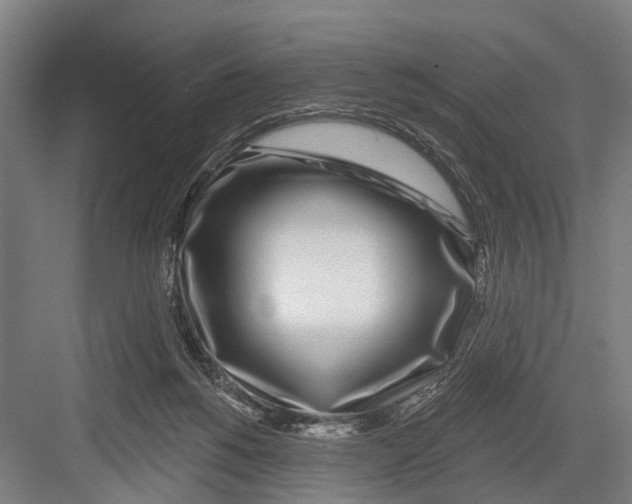 X0000081560168200702121405