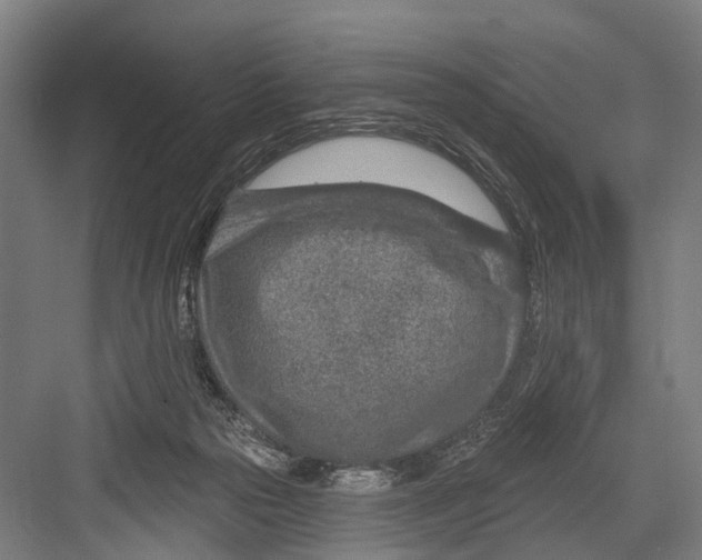 X0000081560169200702121405