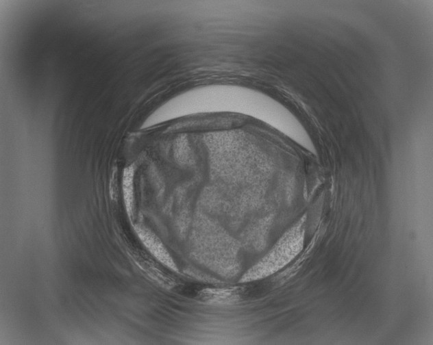 X0000081560170200702121405