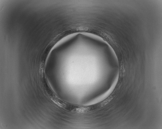 X0000081560172200702121405