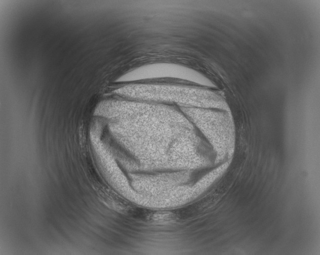 X0000081560173200702121405