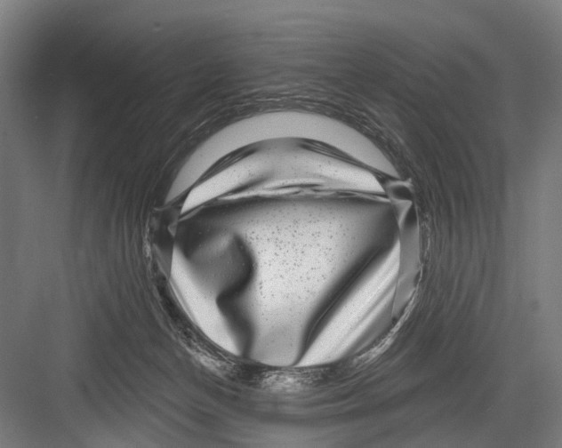 X0000081560174200702121405