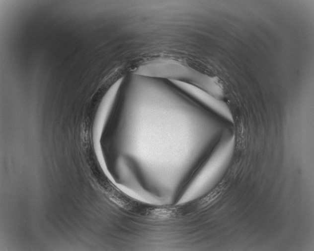 X0000081560176200702121405