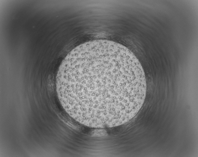X0000081560179200702121405