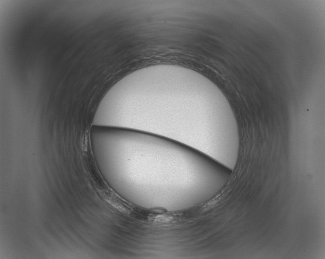 X0000081560180200702121405